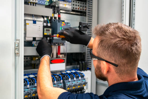 Best Electric Panel Repair  in Celina, TN